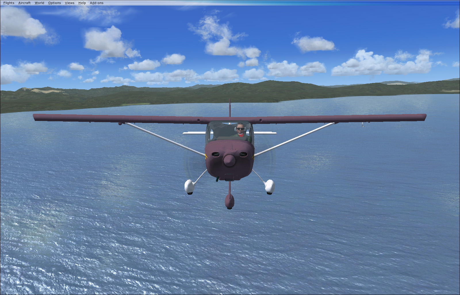 FSX - Cessna Skycatcher, front view